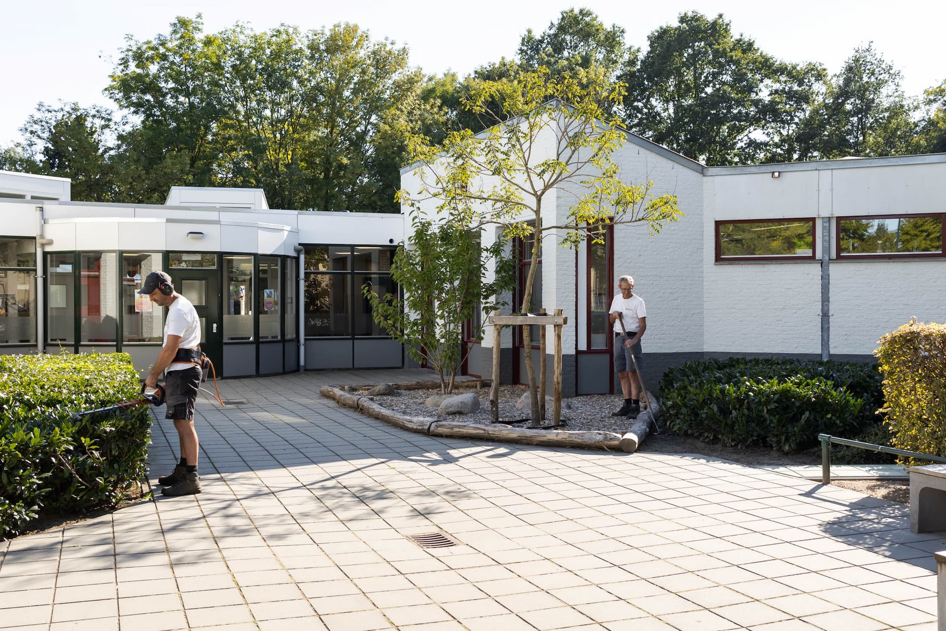 Trienekens Online-Frank-Bosmans-Hoveniers-sfeerafbeelding